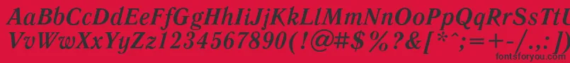 LiteraturnayacBolditalic Font – Black Fonts on Red Background