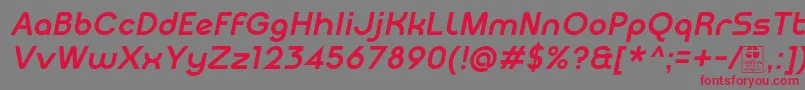 MeltixBoldItalicDemo-Schriftart – Rote Schriften auf grauem Hintergrund