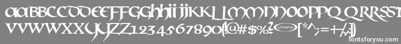 フォントMael – 灰色の背景に白い文字