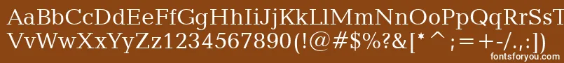 Шрифт CandidaBt – белые шрифты на коричневом фоне