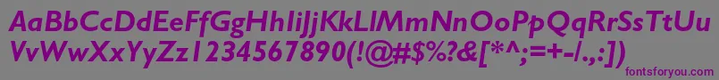 Шрифт GillsansstdBolditalic – фиолетовые шрифты на сером фоне