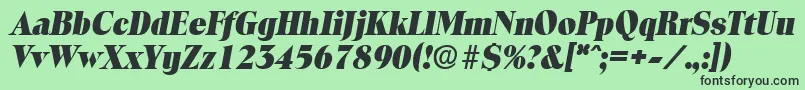 ToledoExtraboldita Font – Black Fonts on Green Background