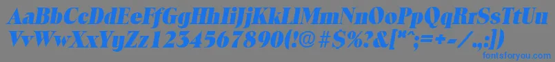 ToledoExtraboldita Font – Blue Fonts on Gray Background