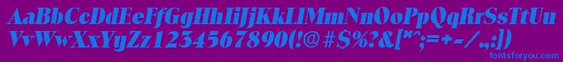 ToledoExtraboldita Font – Blue Fonts on Purple Background