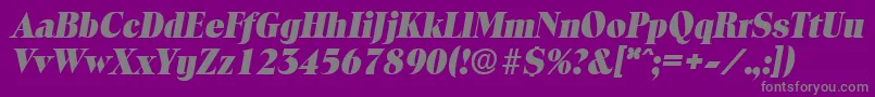 ToledoExtraboldita Font – Gray Fonts on Purple Background