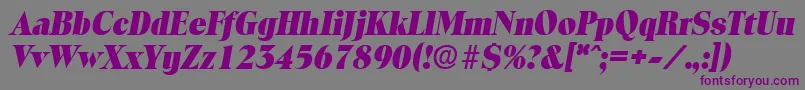 ToledoExtraboldita Font – Purple Fonts on Gray Background