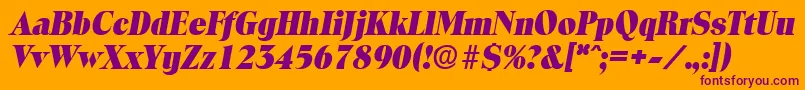 ToledoExtraboldita Font – Purple Fonts on Orange Background