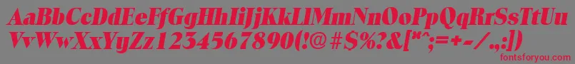 フォントToledoExtraboldita – 赤い文字の灰色の背景