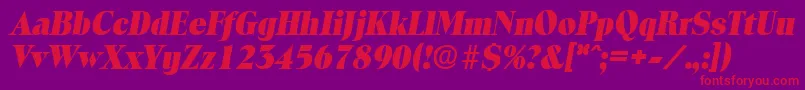 ToledoExtraboldita Font – Red Fonts on Purple Background