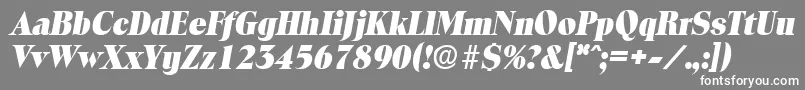 ToledoExtraboldita Font – White Fonts on Gray Background