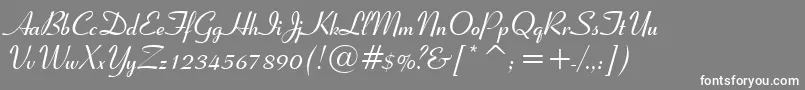 Ribbon131BoldBt Font – White Fonts on Gray Background