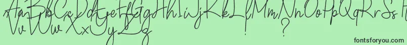 Winchester Font – Black Fonts on Green Background