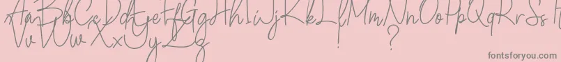 Winchester Font – Gray Fonts on Pink Background