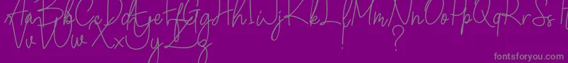 Winchester Font – Gray Fonts on Purple Background