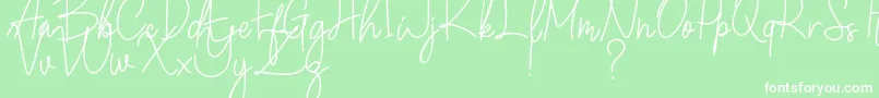 Winchester Font – White Fonts on Green Background