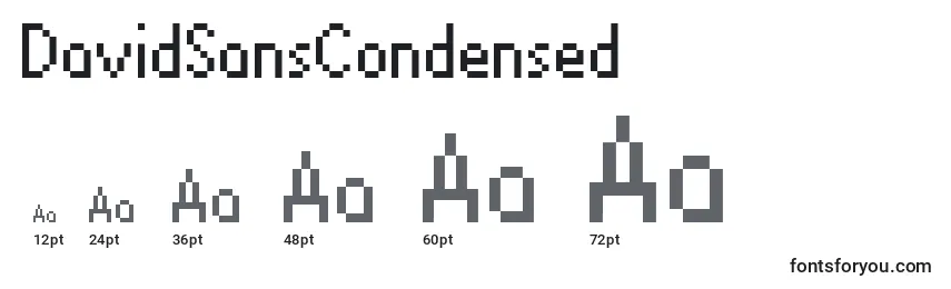 DavidSansCondensed Font Sizes