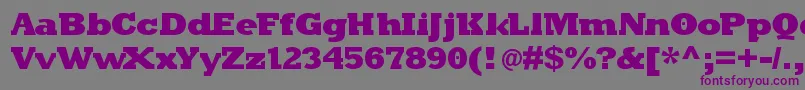 フォントKleinslabserifblaxx – 紫色のフォント、灰色の背景