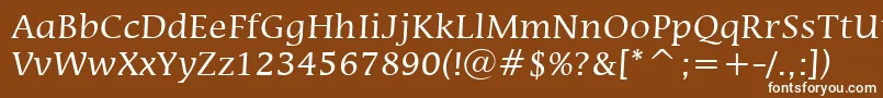 MiraraeBtフォントについての詳細 フォントMiraraeBt – 茶色の背景に白い文字