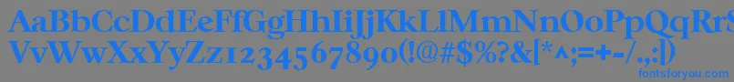 CasablancaBold Font – Blue Fonts on Gray Background