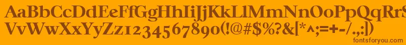 CasablancaBold Font – Brown Fonts on Orange Background