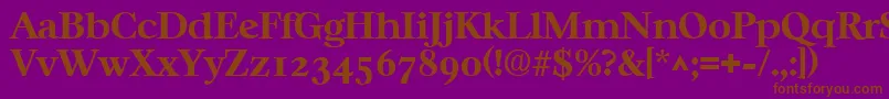 CasablancaBold Font – Brown Fonts on Purple Background