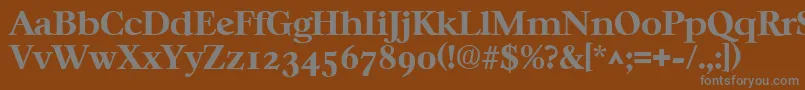 CasablancaBold Font – Gray Fonts on Brown Background