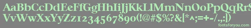 CasablancaBold Font – Green Fonts on Gray Background