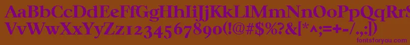 CasablancaBold Font – Purple Fonts on Brown Background