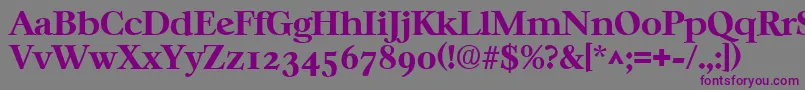 CasablancaBold Font – Purple Fonts on Gray Background