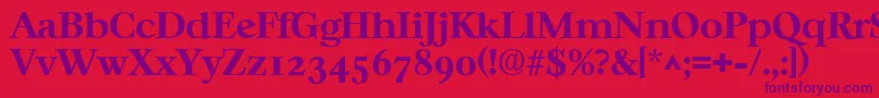 CasablancaBold Font – Purple Fonts on Red Background