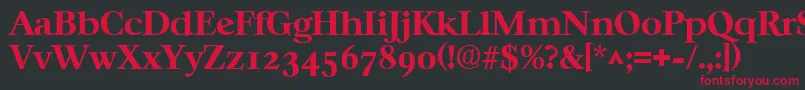 CasablancaBold Font – Red Fonts on Black Background
