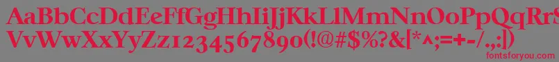 フォントCasablancaBold – 赤い文字の灰色の背景