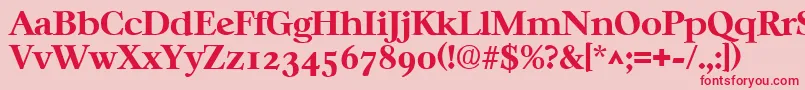 CasablancaBold Font – Red Fonts on Pink Background