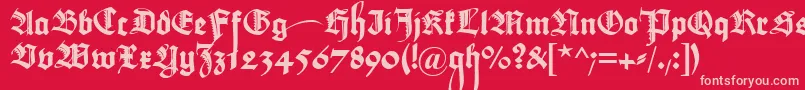 Maximilianzierbuchstaben Font – Pink Fonts on Red Background