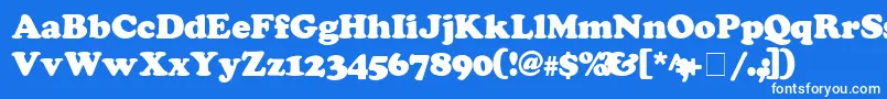 CooperSsiExtraBlack Font – White Fonts on Blue Background