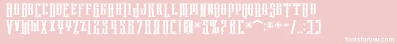 PhoenixRegular Font – White Fonts on Pink Background