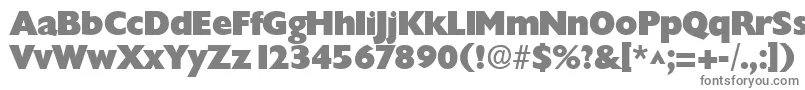 フォントChantillylhBold – 白い背景に灰色の文字