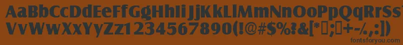 フォントNautodisplayssk – 黒い文字が茶色の背景にあります