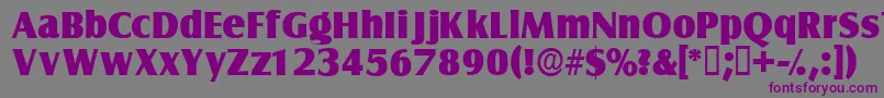 Czcionka Nautodisplayssk – fioletowe czcionki na szarym tle