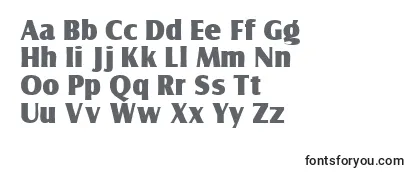 Review of the Nautodisplayssk Font