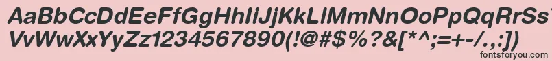 ContextRoundedSsiBoldItalic Font – Black Fonts on Pink Background
