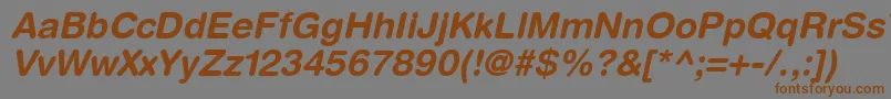 ContextRoundedSsiBoldItalic Font – Brown Fonts on Gray Background