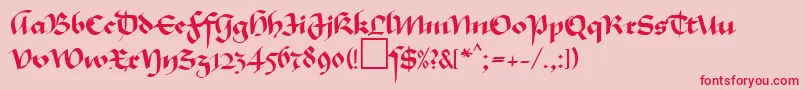 MaGkursiv1Db Font – Red Fonts on Pink Background