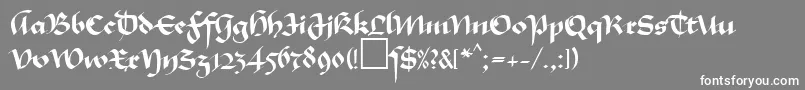 MaGkursiv1Db Font – White Fonts on Gray Background