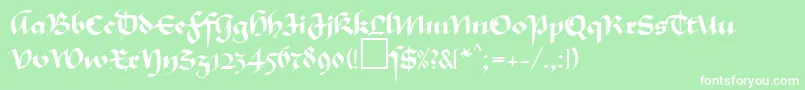 MaGkursiv1Db Font – White Fonts on Green Background