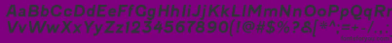 FenwickrgBolditalic Font – Black Fonts on Purple Background