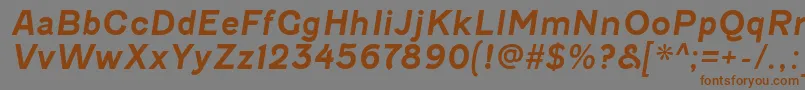 FenwickrgBolditalic Font – Brown Fonts on Gray Background
