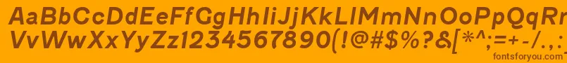 FenwickrgBolditalic Font – Brown Fonts on Orange Background