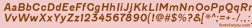 FenwickrgBolditalic Font – Brown Fonts on Pink Background