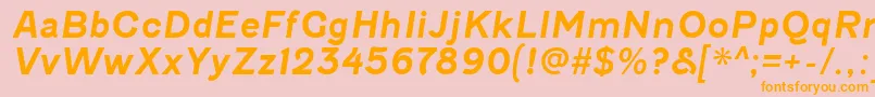 FenwickrgBolditalic Font – Orange Fonts on Pink Background